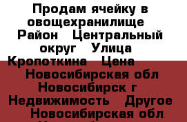 Продам ячейку в овощехранилище › Район ­ Центральный округ › Улица ­ Кропоткина › Цена ­ 65 000 - Новосибирская обл., Новосибирск г. Недвижимость » Другое   . Новосибирская обл.,Новосибирск г.